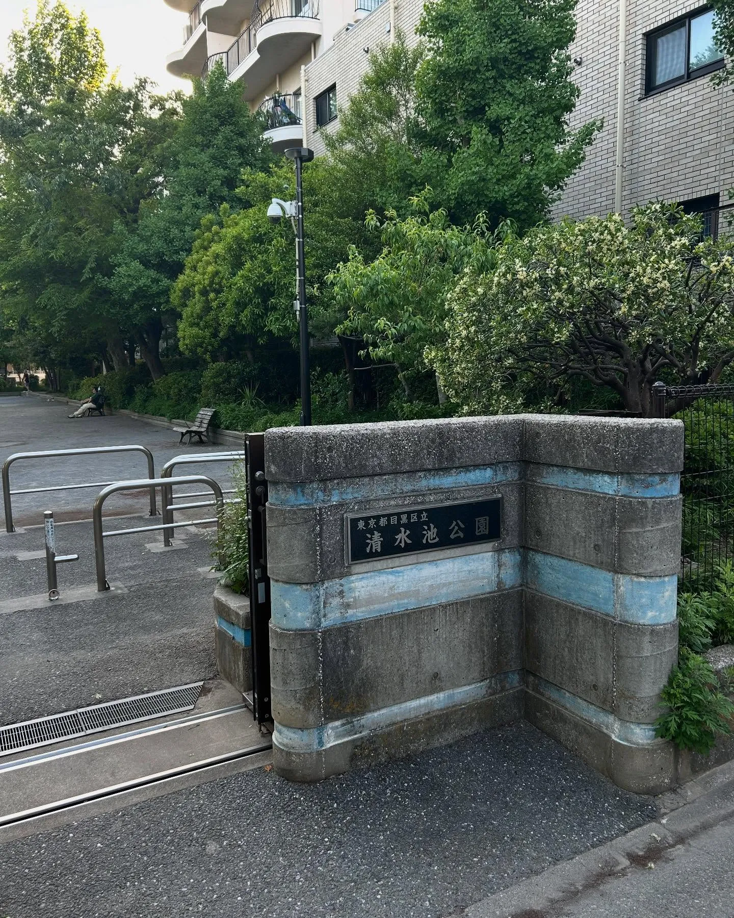 『学芸大学』ゲリラライブ『音楽教室』