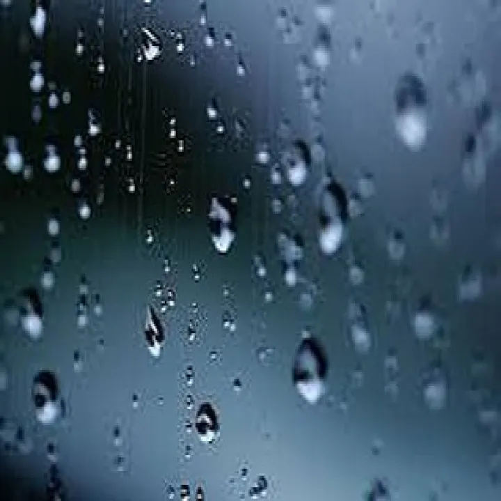 『学芸大学』アンサンブルの魅力と音楽の調和『音楽教室』