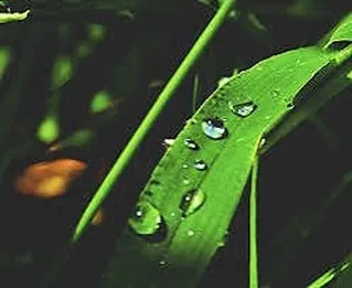 『学芸大学』ピアノにおける指使いの重要性『ピアノ教室』