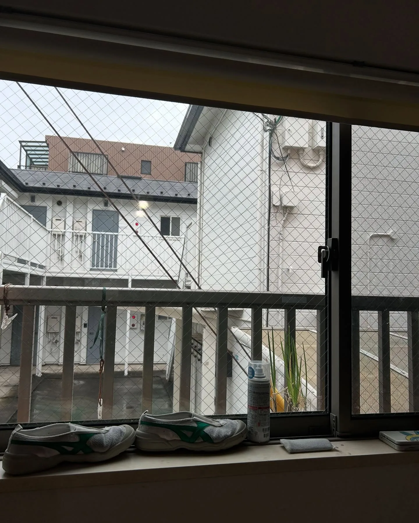 『学芸大学』音楽は世界共通の言語—ピアノを通じて感じるつなが...