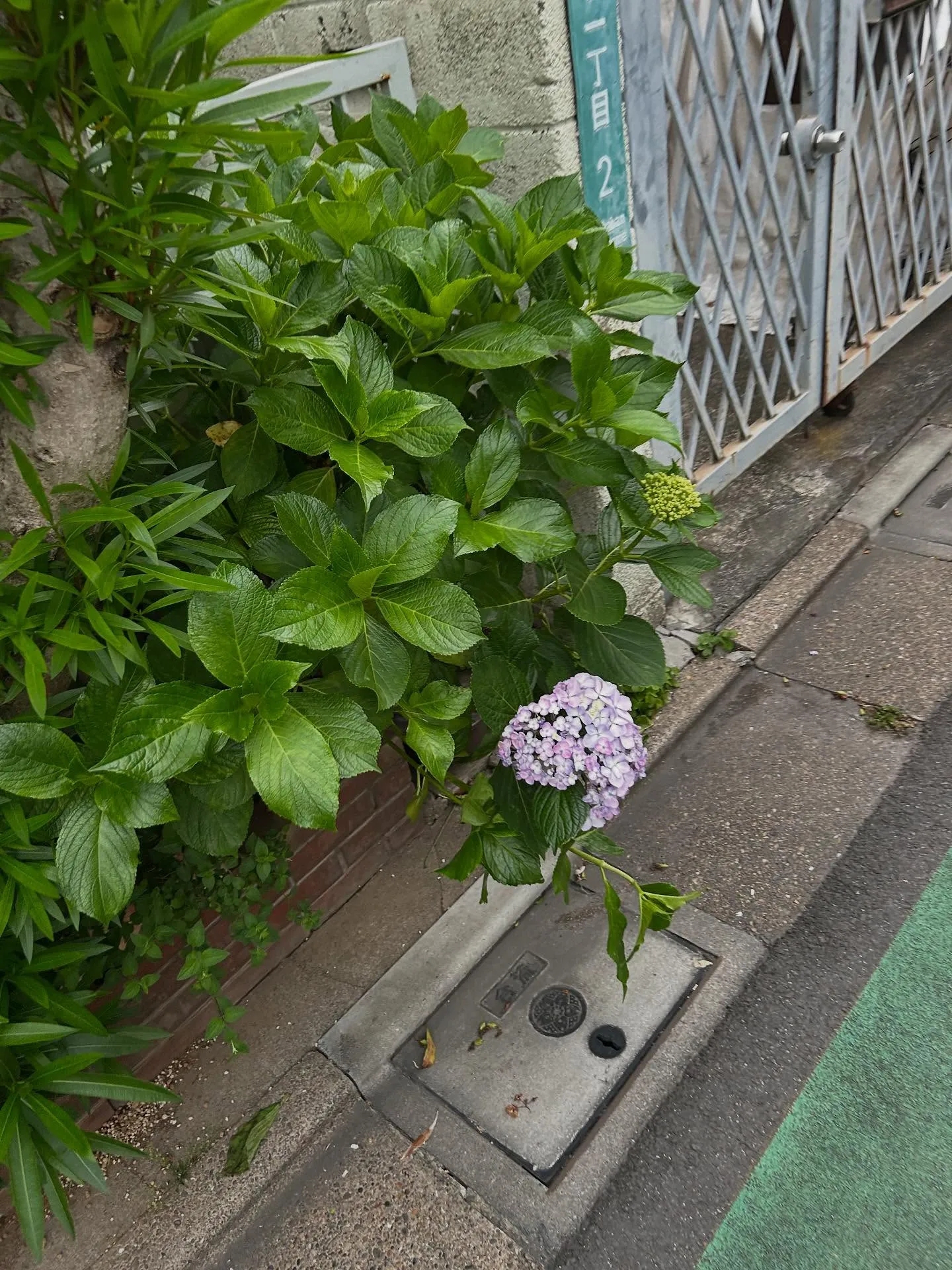 『学芸大学』ピアノの鍵盤はスイッチではない『ピアノ教室』