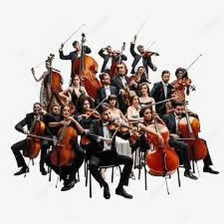 🎶 **シェリー・アーツ音楽教室へようこそ!** 🎶