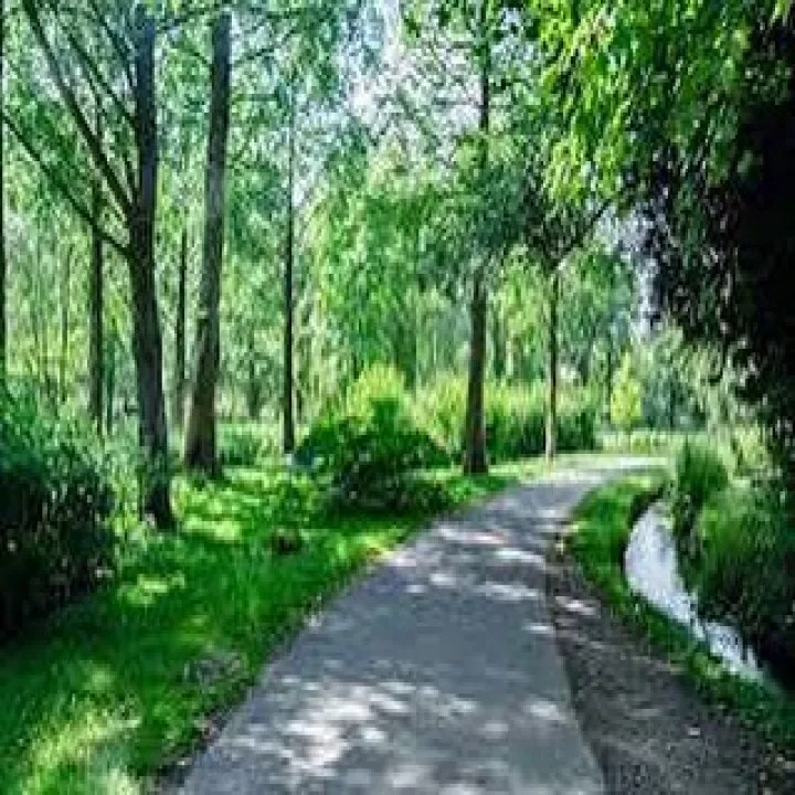 『ピアノ』殺伐とした世の中に音楽の光を『音楽』