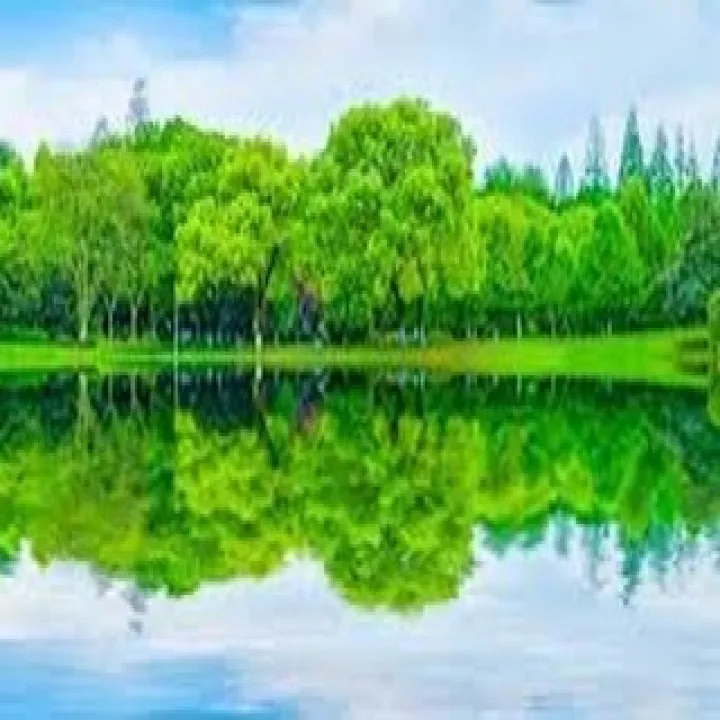 『ピアノ』殺伐とした世の中に音楽の光を『音楽』