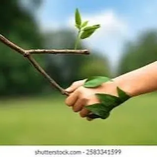 『ピアノ』調和を求める音楽の力『アンサンブル』