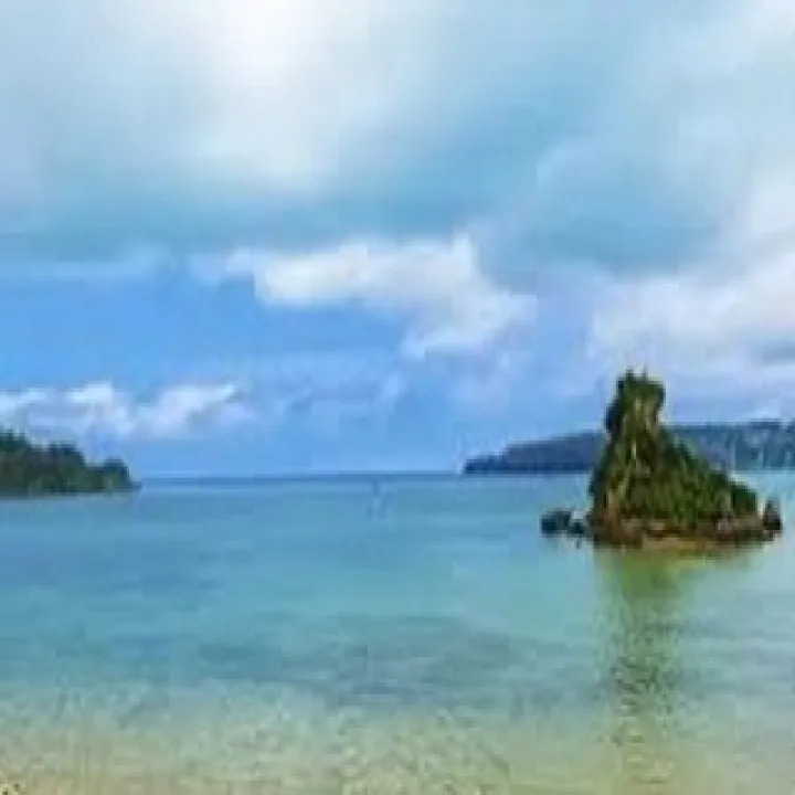 『ピアノ』音楽と言語の共通点:ピアノを通して学ぶ『目黒区』