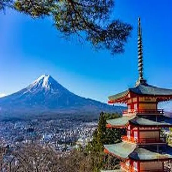 『ピアノ』音楽と言語の共通点:ピアノを通して学ぶ『目黒区』