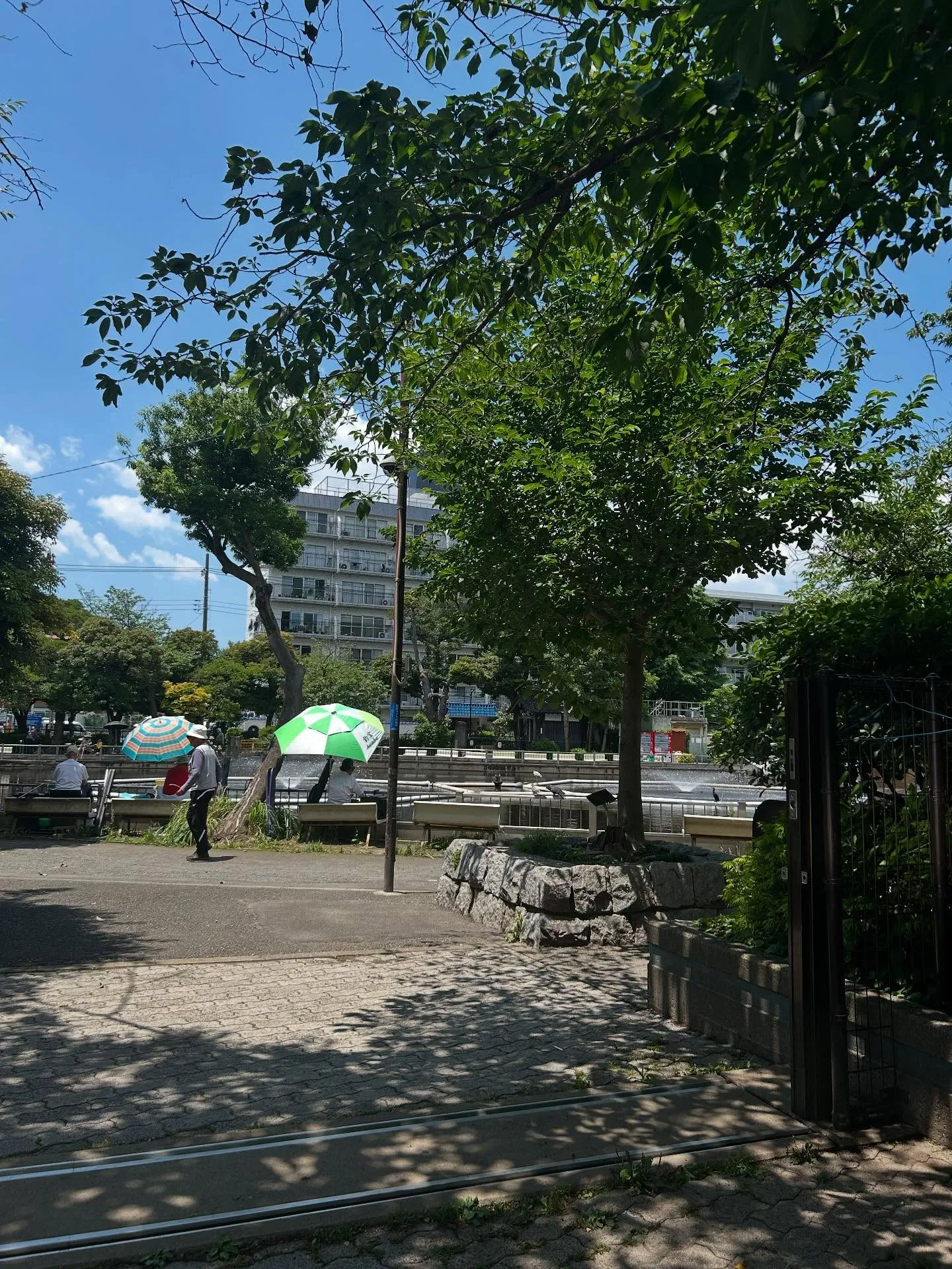 『学芸大学』シェリー・アーツ音楽教室の教育方針『音楽教室』