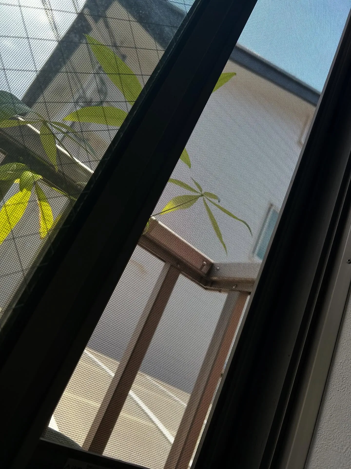 『大人』大人の生涯教育に音楽、特にピアノが最適な理由『音楽教...