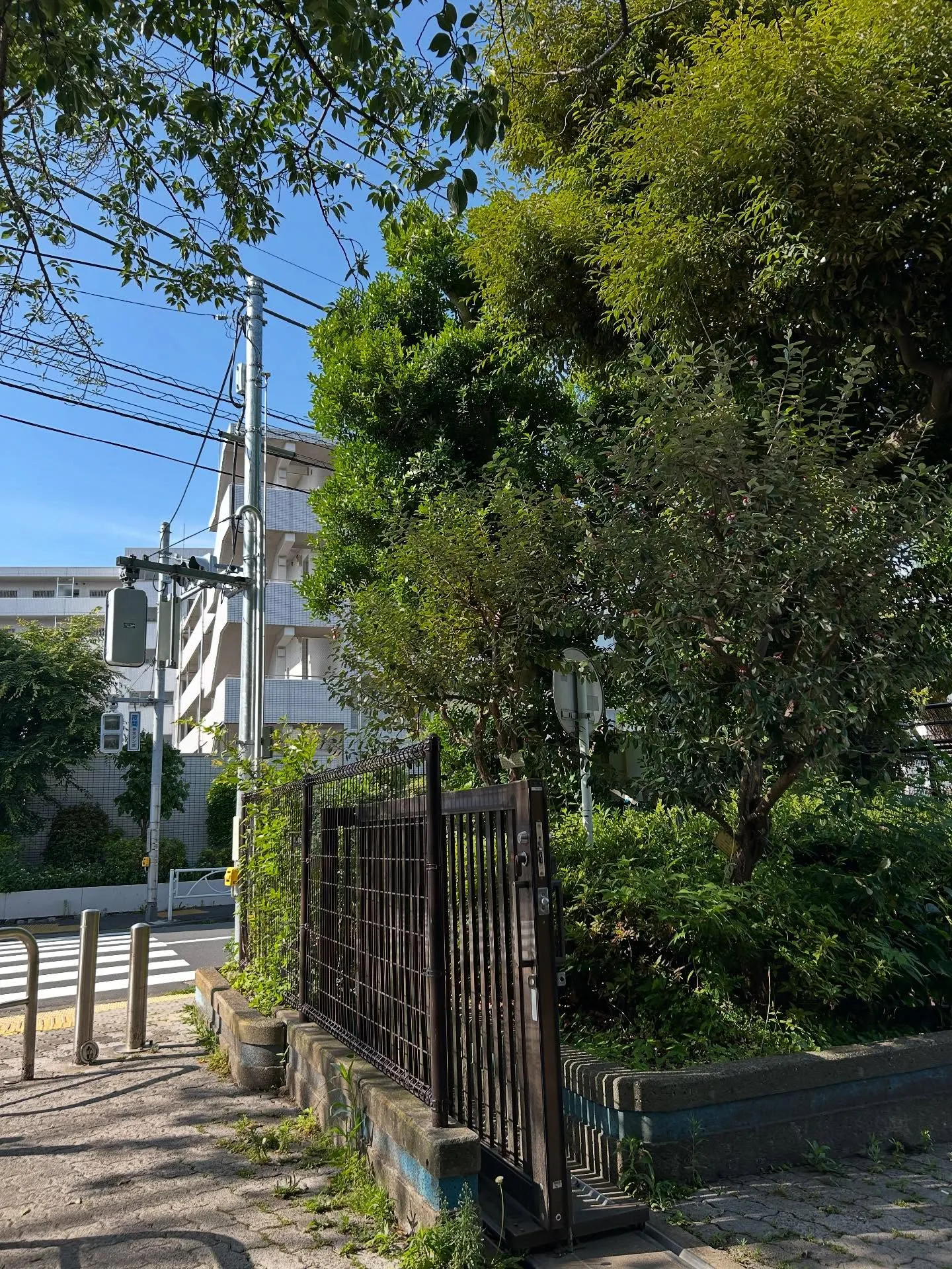 『学芸大学』社会問題『音楽』