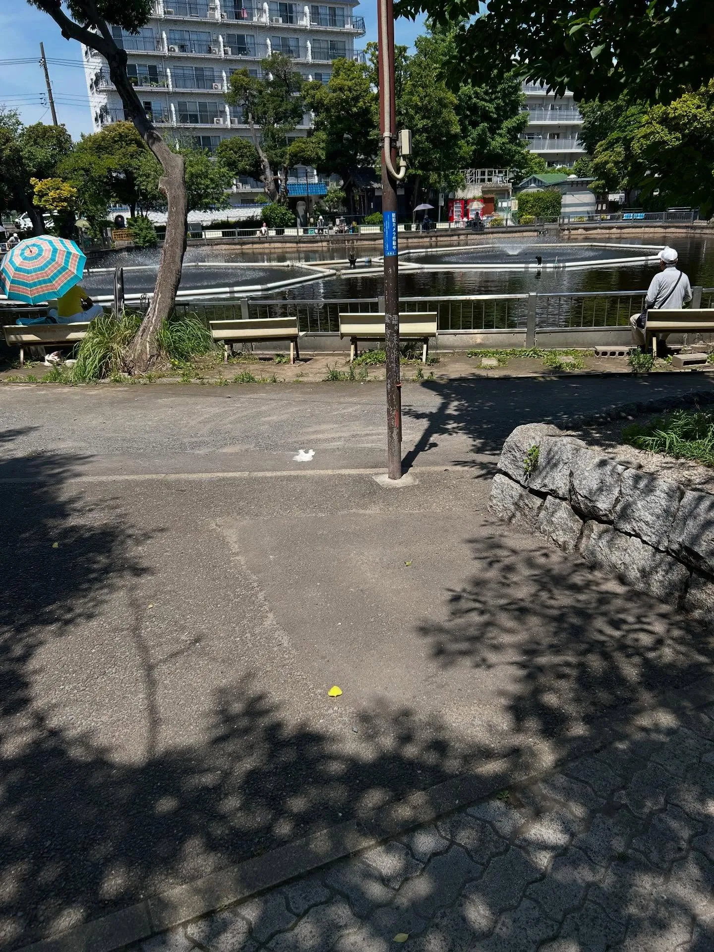 『学芸大学』音楽はお子様の記憶力向上に役立ちます『ピアノ教室...