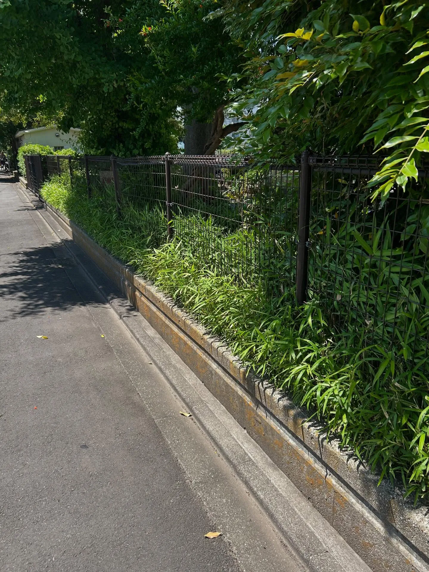 『学芸大学』初心者から上級者まで楽しめるピアノと歌のレッスン...