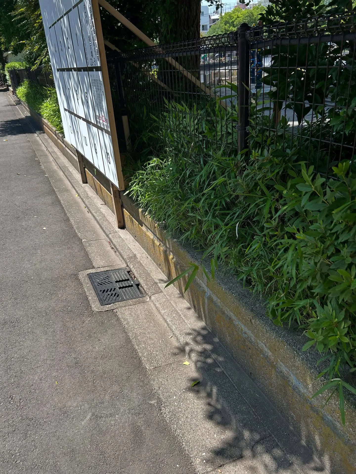 『学芸大学』音楽は世界共通の言語 — ショパンとピアノの魅力...