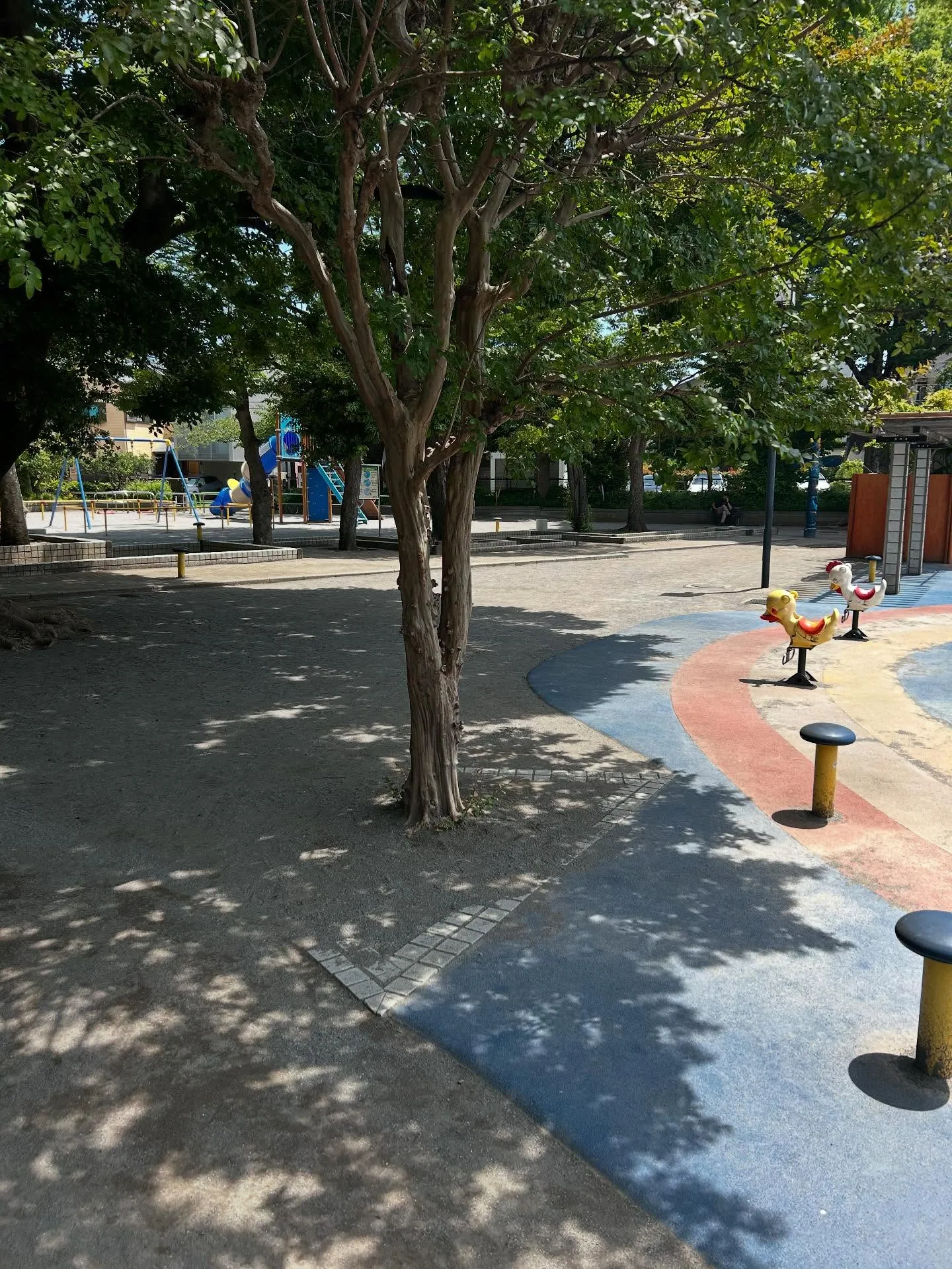 『学芸大学』作曲とは心を音で表現すること『作曲教室』