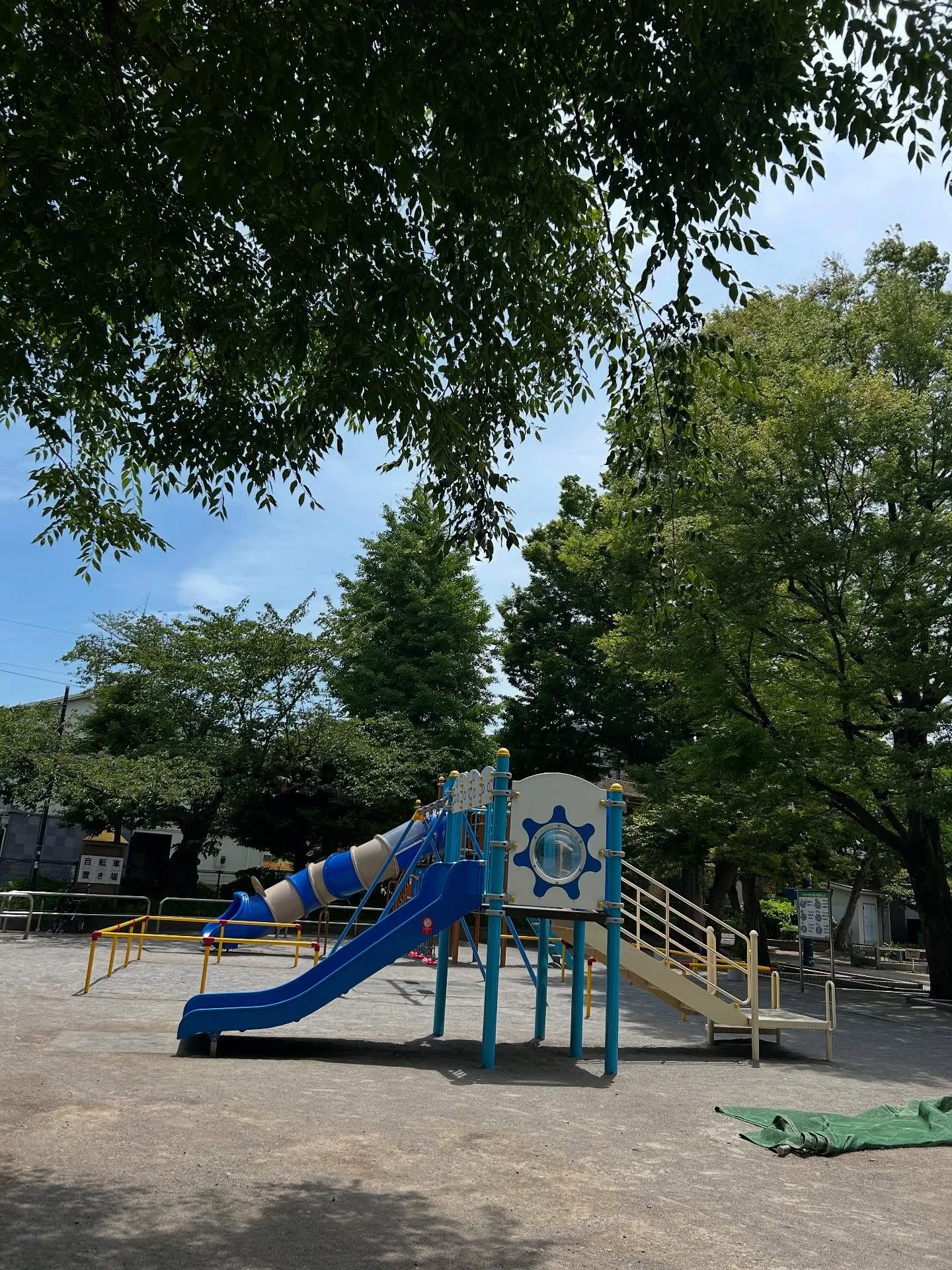 『学芸大学』音楽に求めるものとは?ピアノ、歌、作曲を通して見...