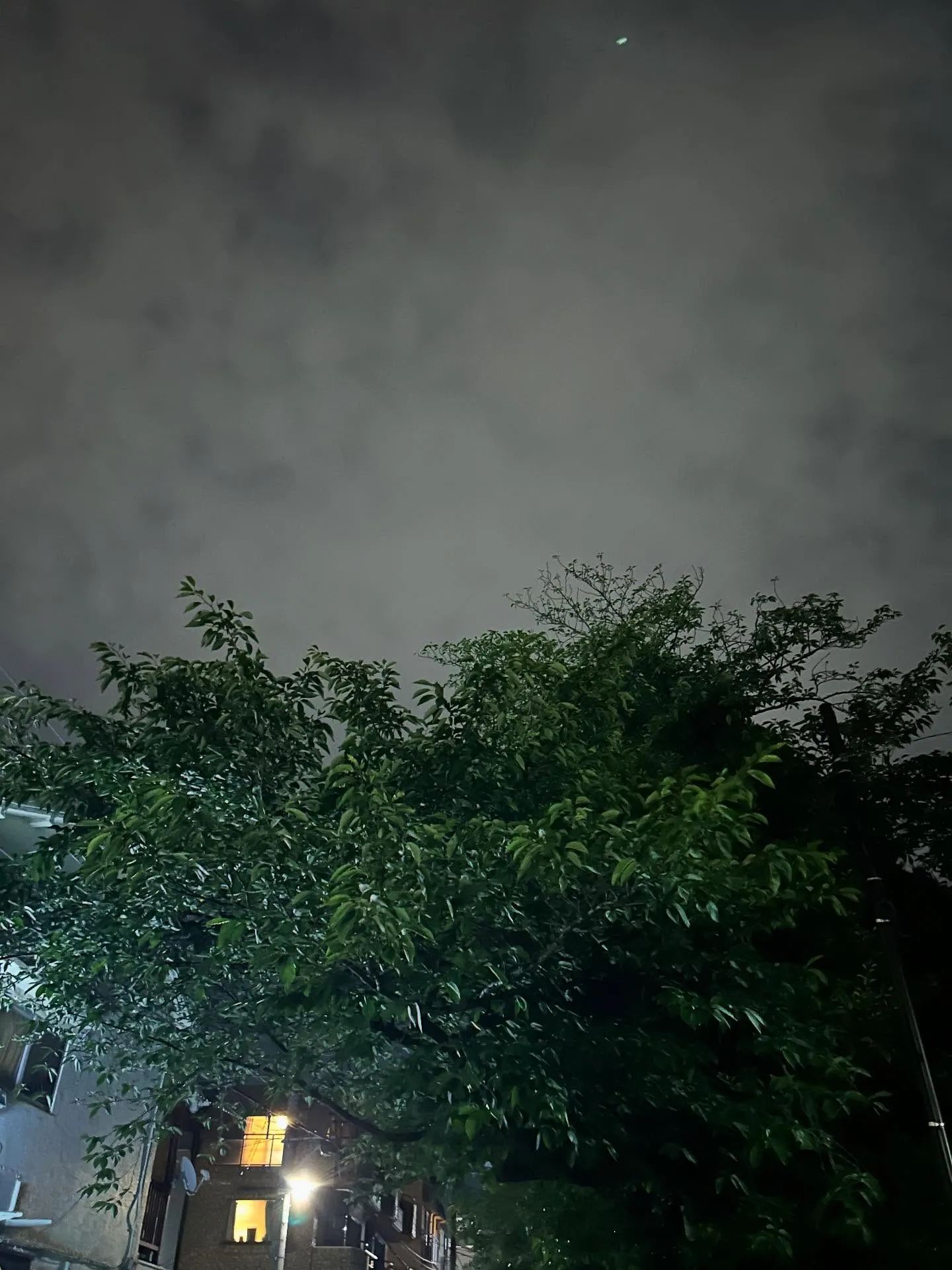 『学芸大学』音楽は、世界を救う『音楽教室』