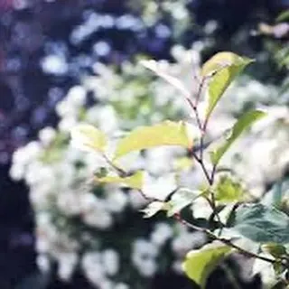 『学芸大学』いい音楽を奏でるために『ピアノ教室』