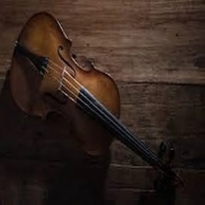 『学芸大学』ロジカルであれ。