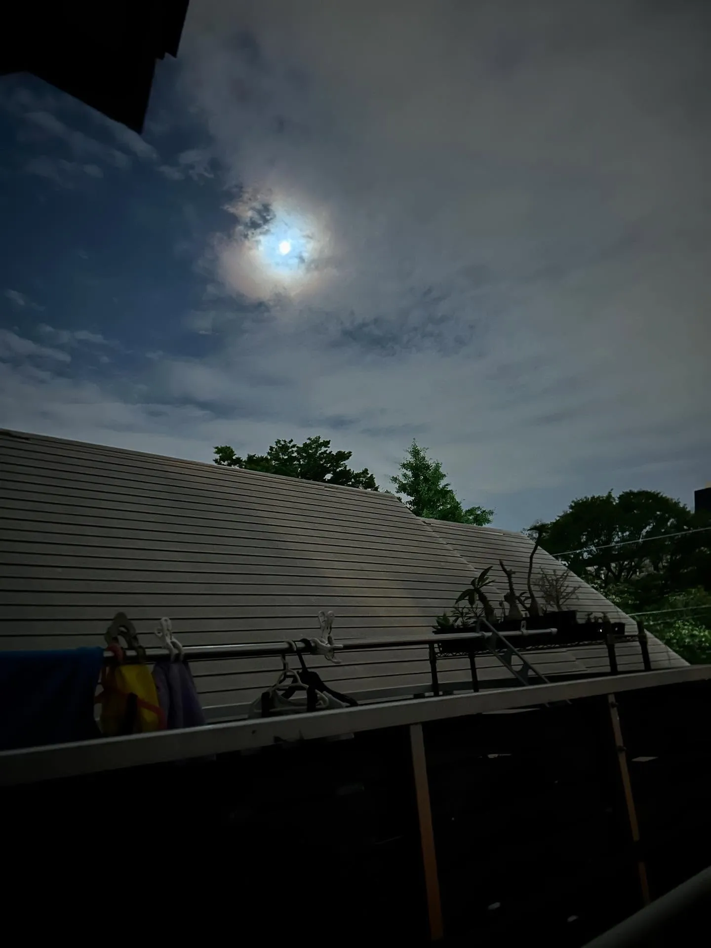 『学芸大学』演奏におけるコミュニケーションの重要性『音楽教室...