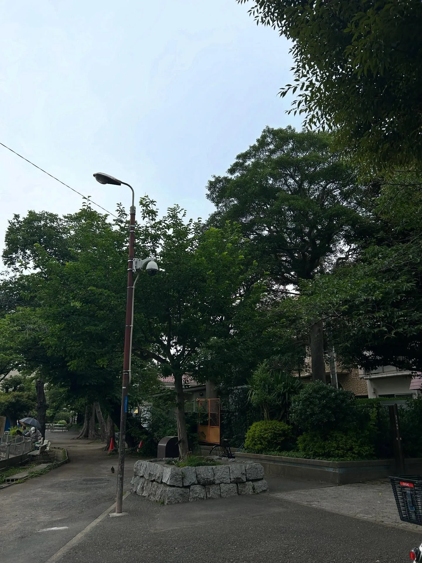 『学芸大学』作曲の魅力を探る『作曲教室』