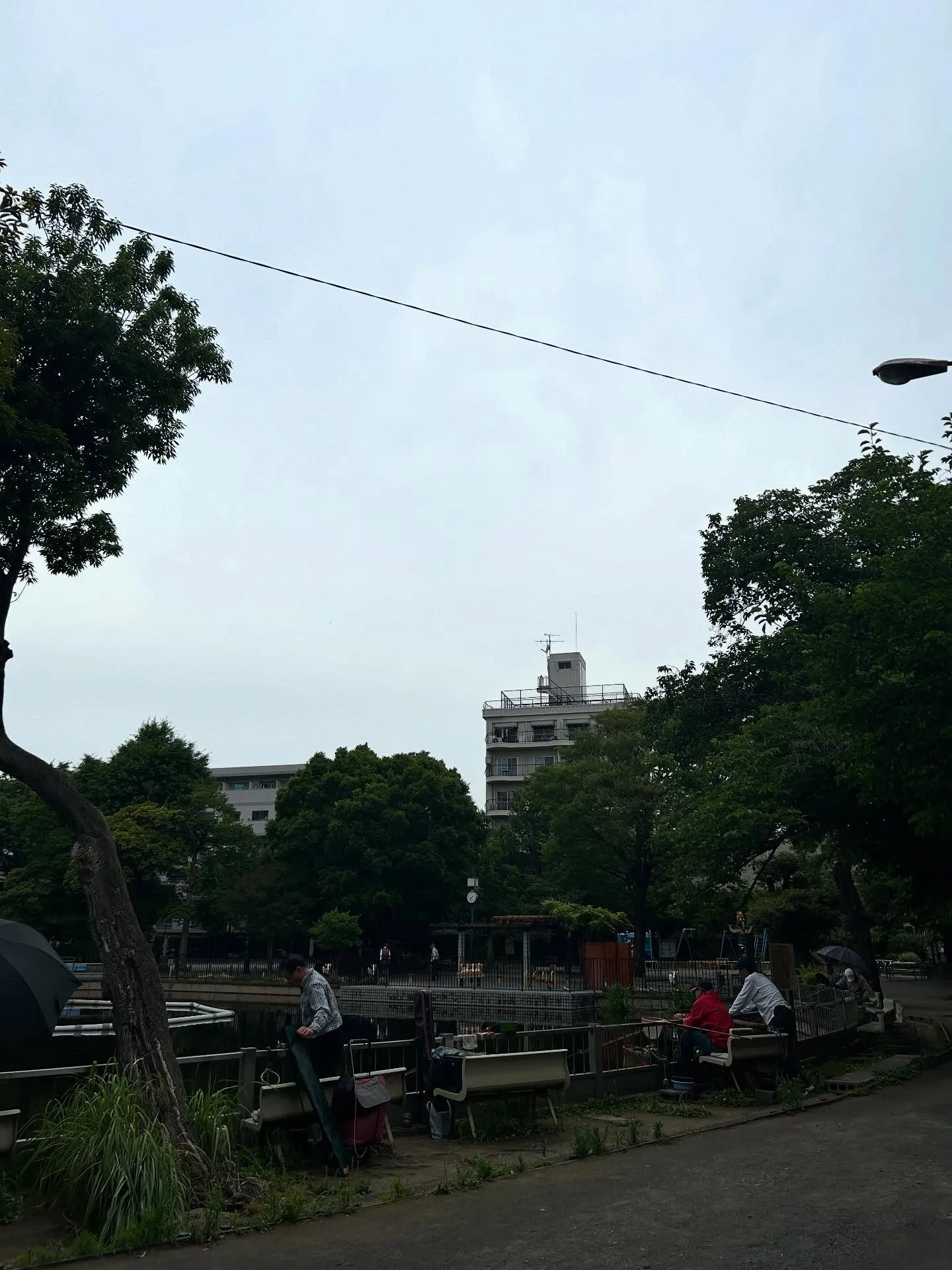 『学芸大学』作曲の魅力を探る『作曲教室』