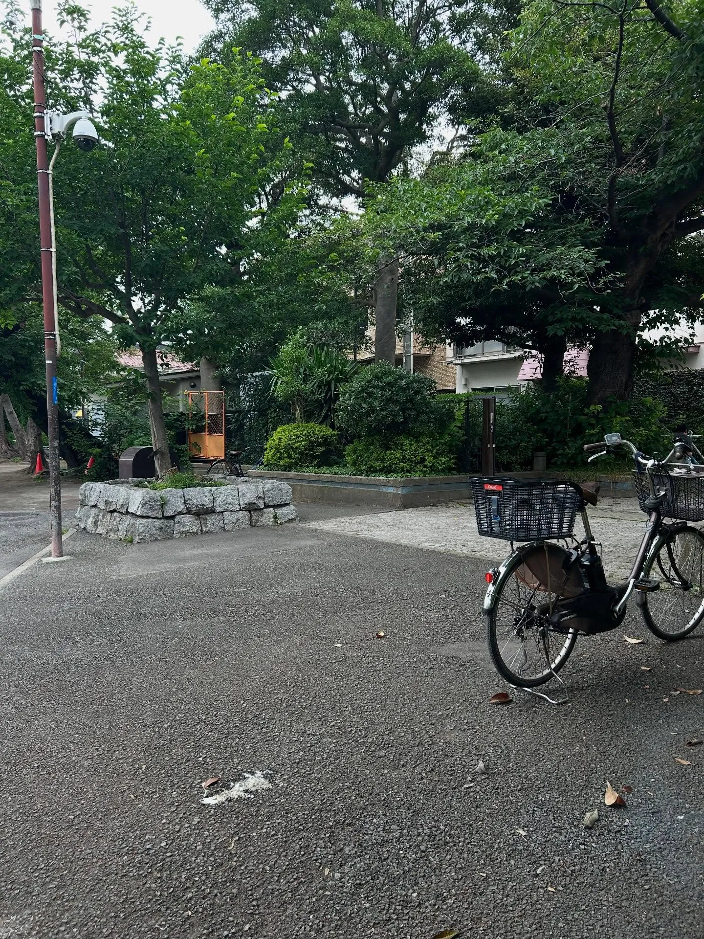 『学芸大学』歌の魅力とボーカルの重要性『ボーカル教室』