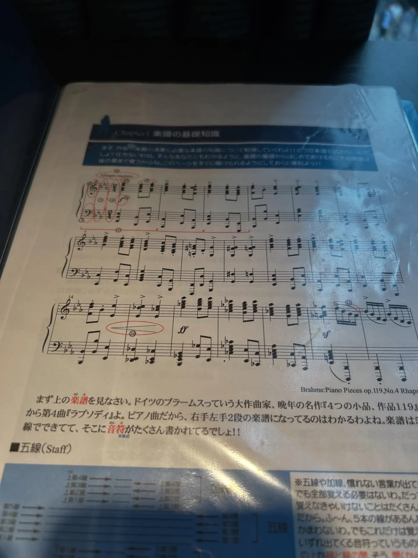 『音楽理論』音楽理論の重要性とピアノとの関係『ピアノ教室』