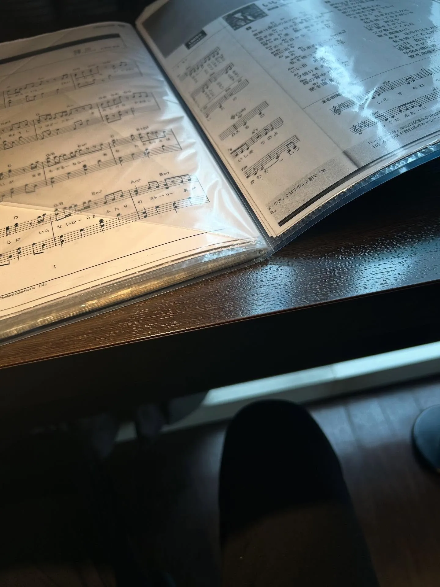 『学芸大学』基音と倍音：ピアノ音楽の深い世界『音楽教室』