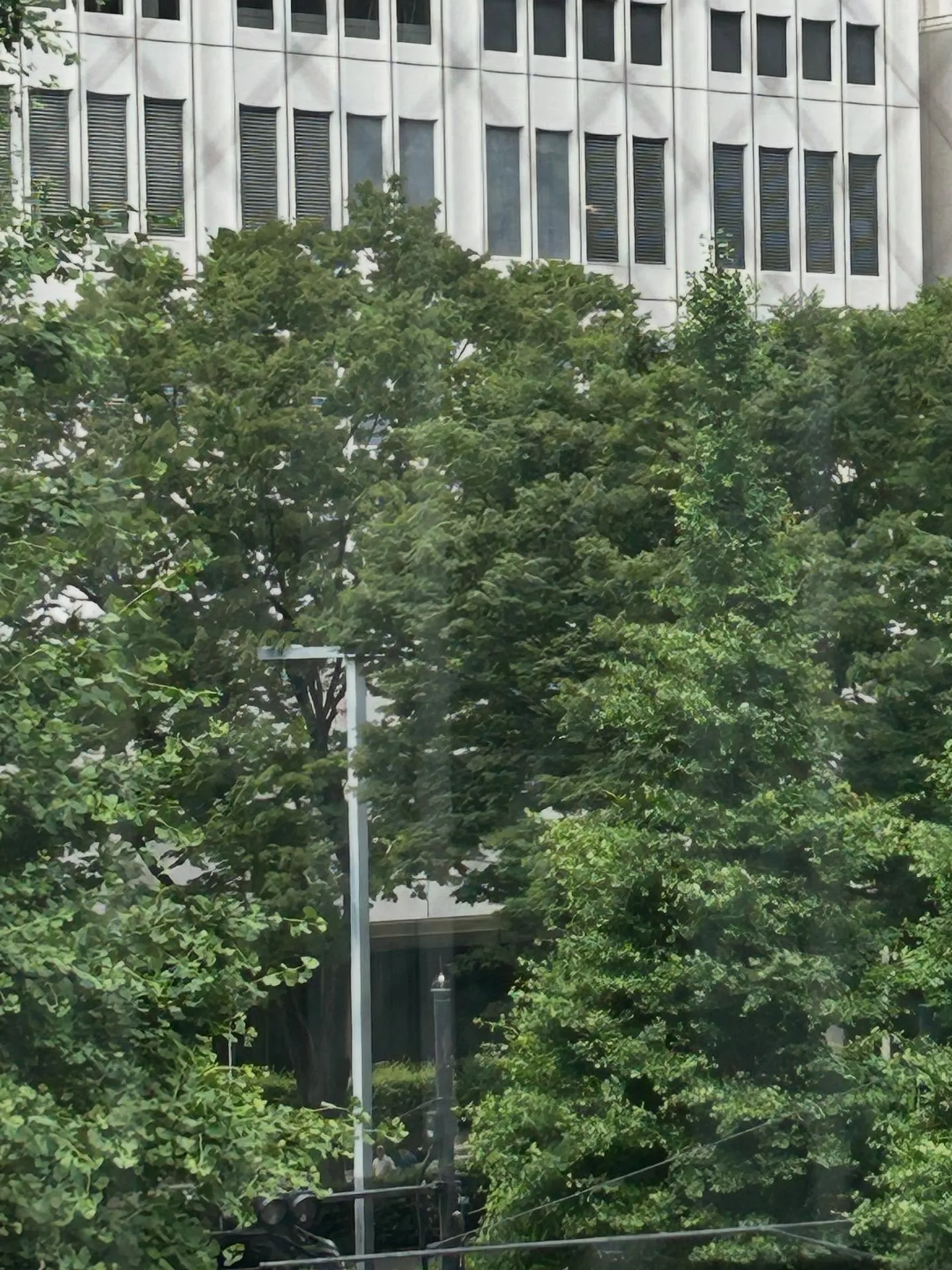 『学芸大学』作曲は簡単!音楽の楽しさを再発見しよう『作曲教室...