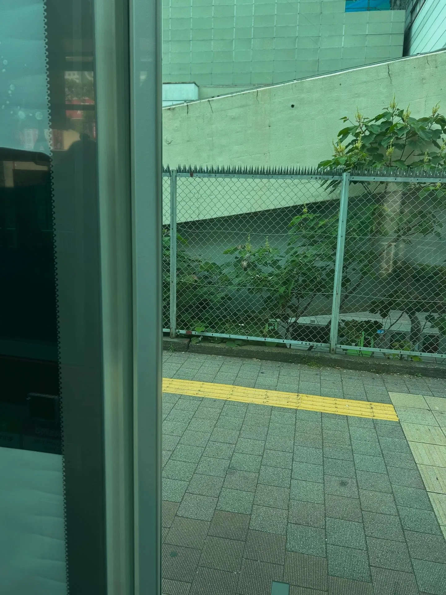 『学芸大学』美しいメロディとは？『音楽教室』