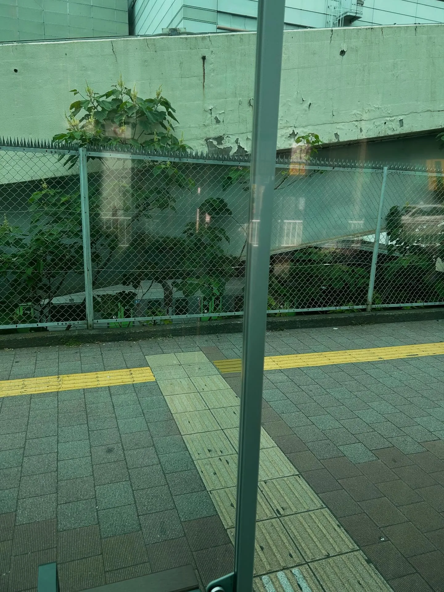 『学芸大学』美しいメロディとは？『音楽教室』