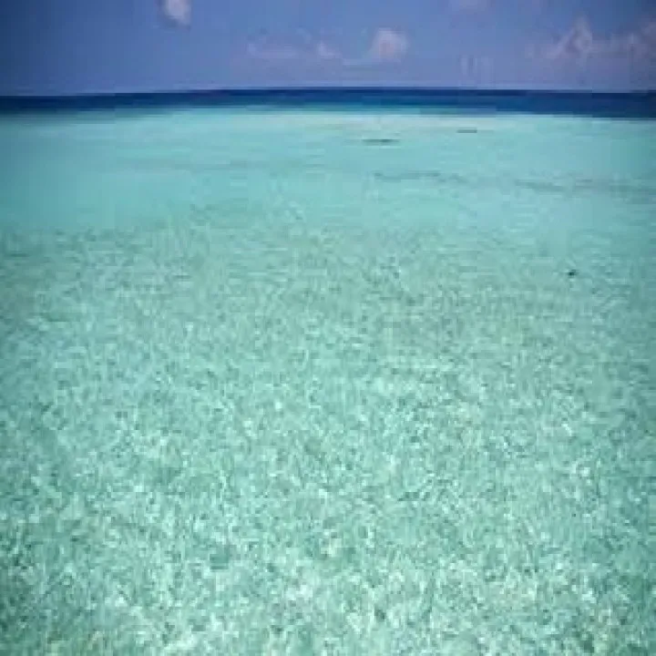 『学芸大学』匿名希望様からのご質問『音楽教室』