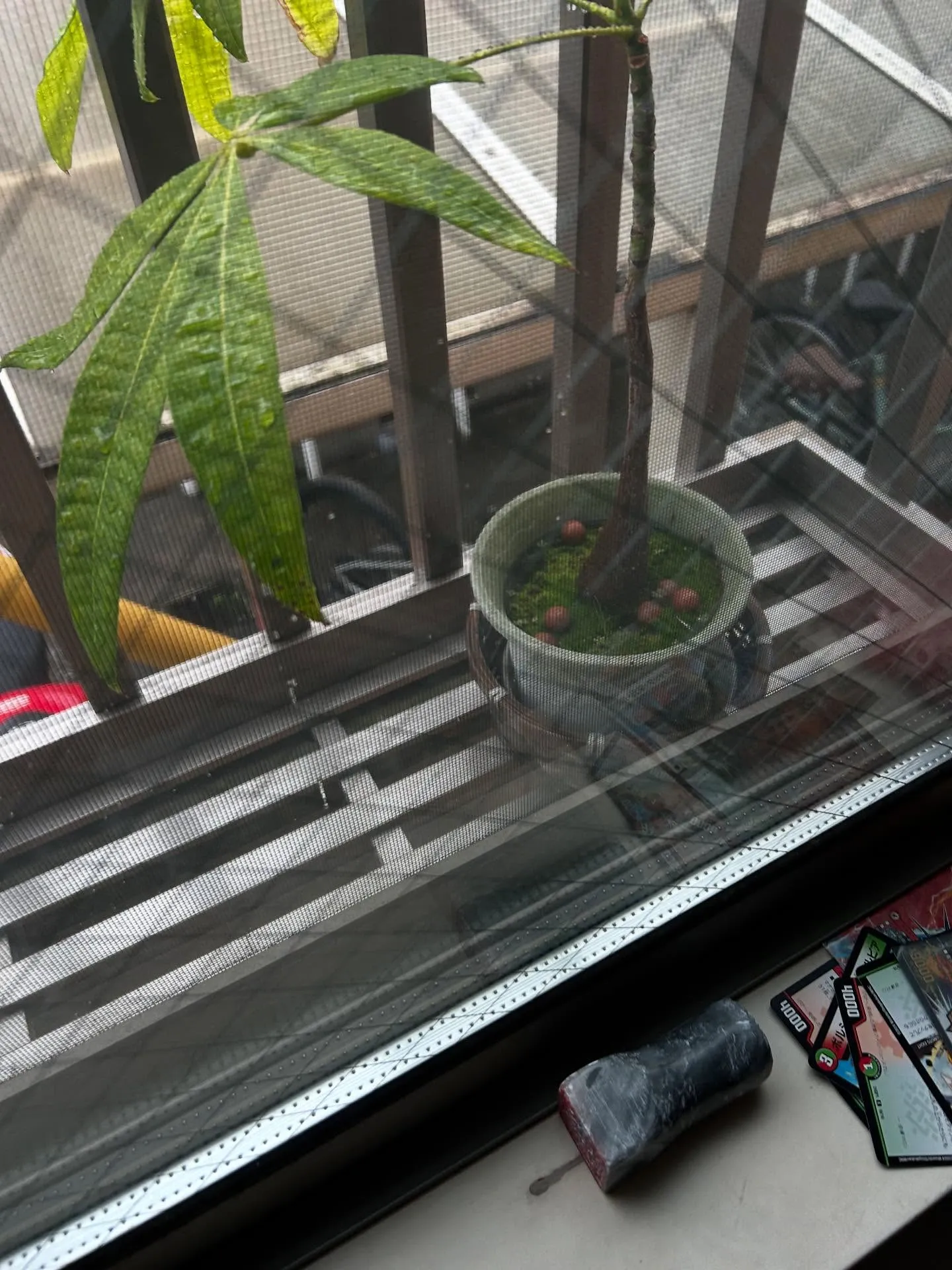 『学芸大学』音楽は今の社会に調和をあたえる『音楽教室』