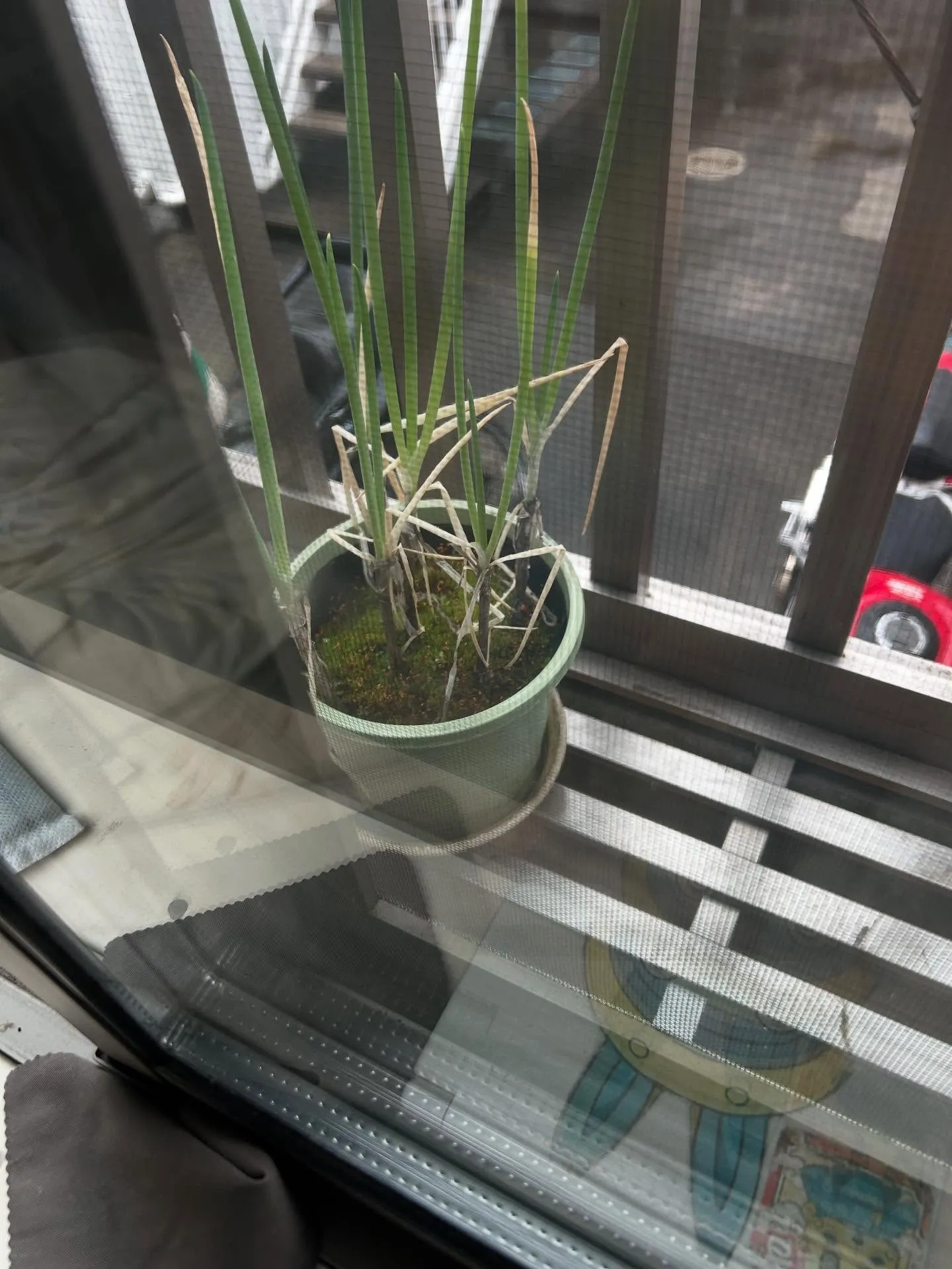 『学芸大学』音楽は今の社会に調和をあたえる『音楽教室』