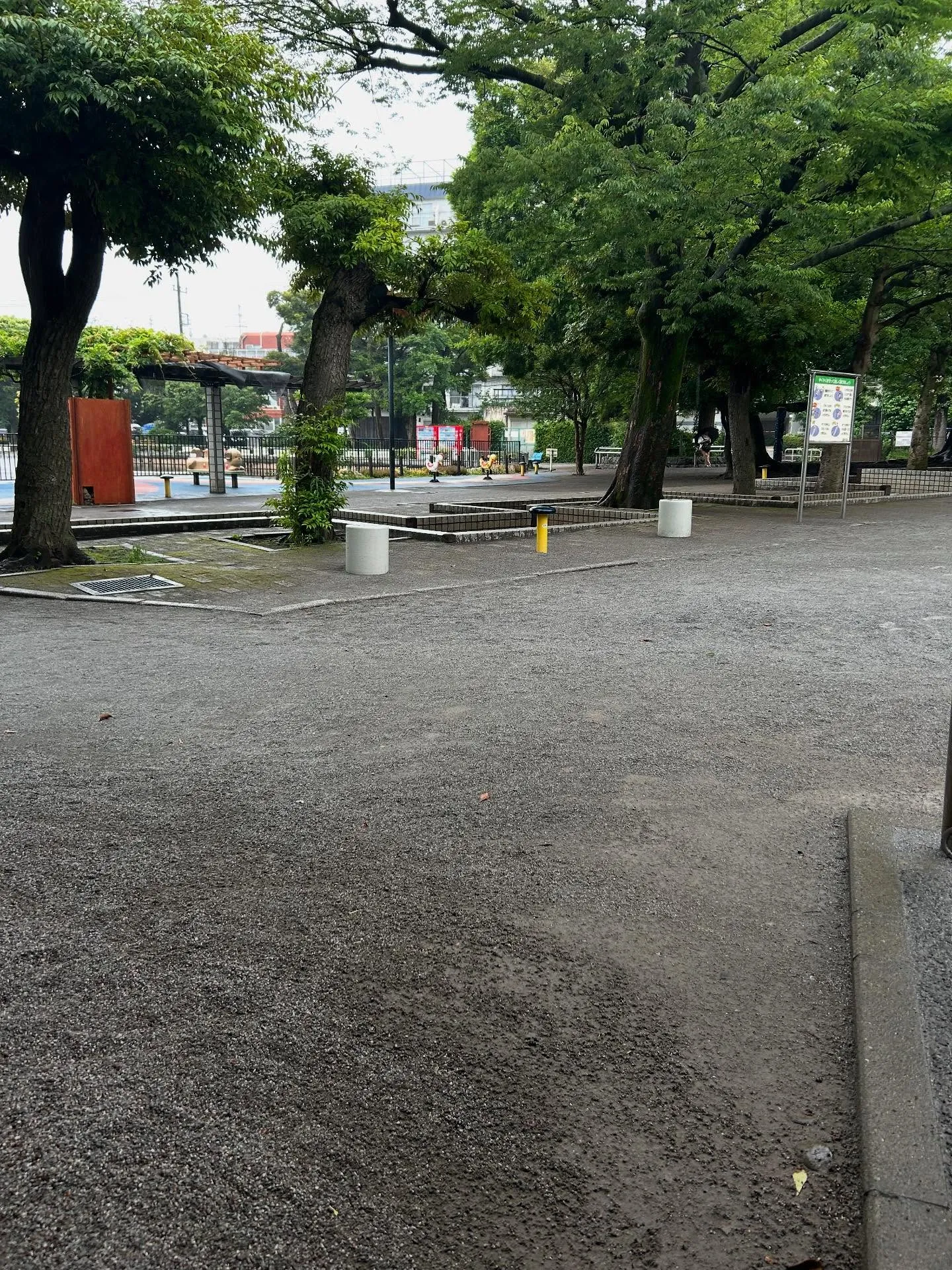 『学芸大学』音楽の導入『ピアノ教室』