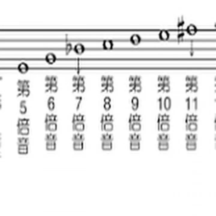 『学芸大学』下倍音は存在するのか?『音楽教室』