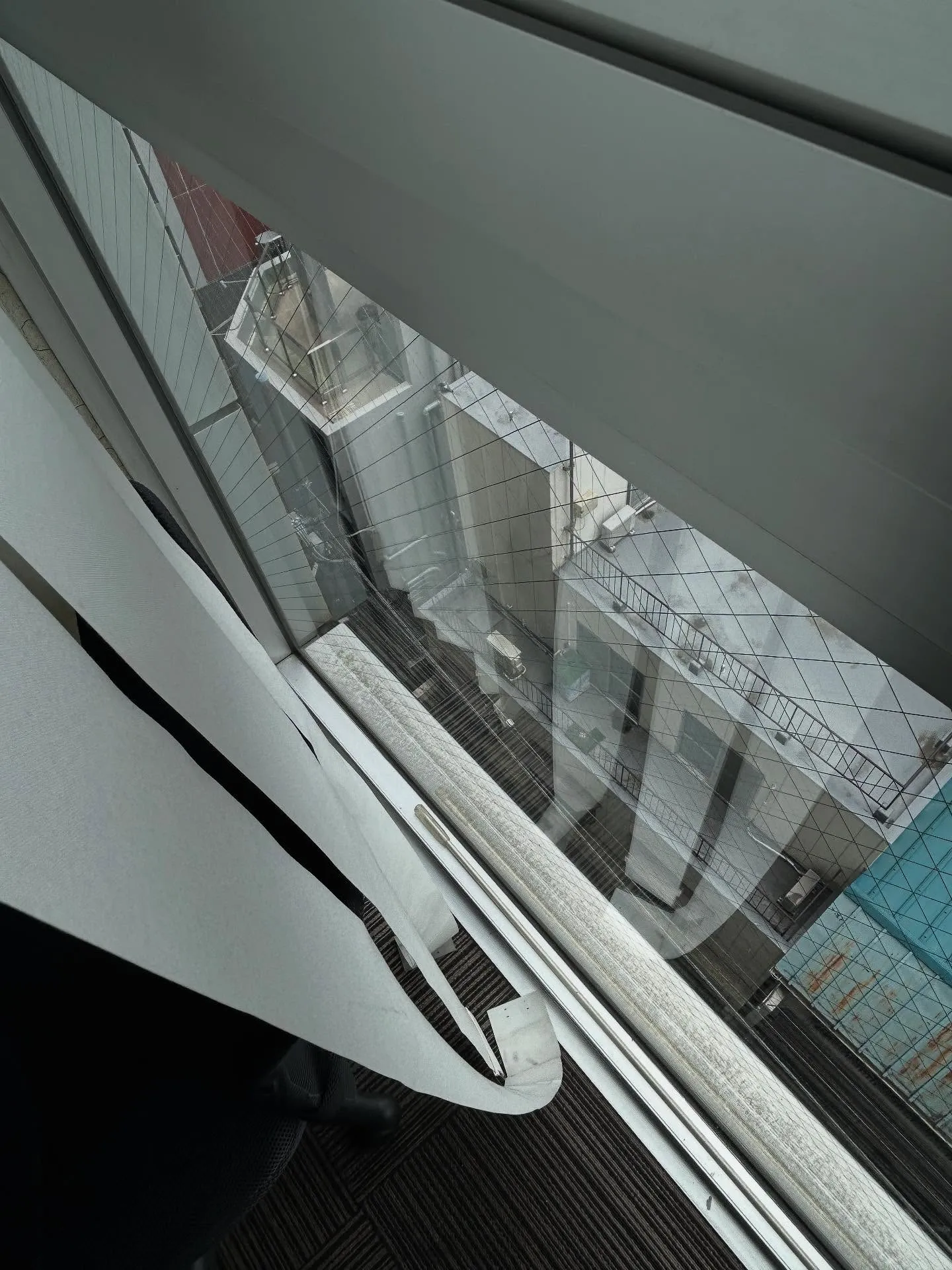 『学芸大学』音楽の魅力を深める！シェリー・アーツ音楽教室のご...