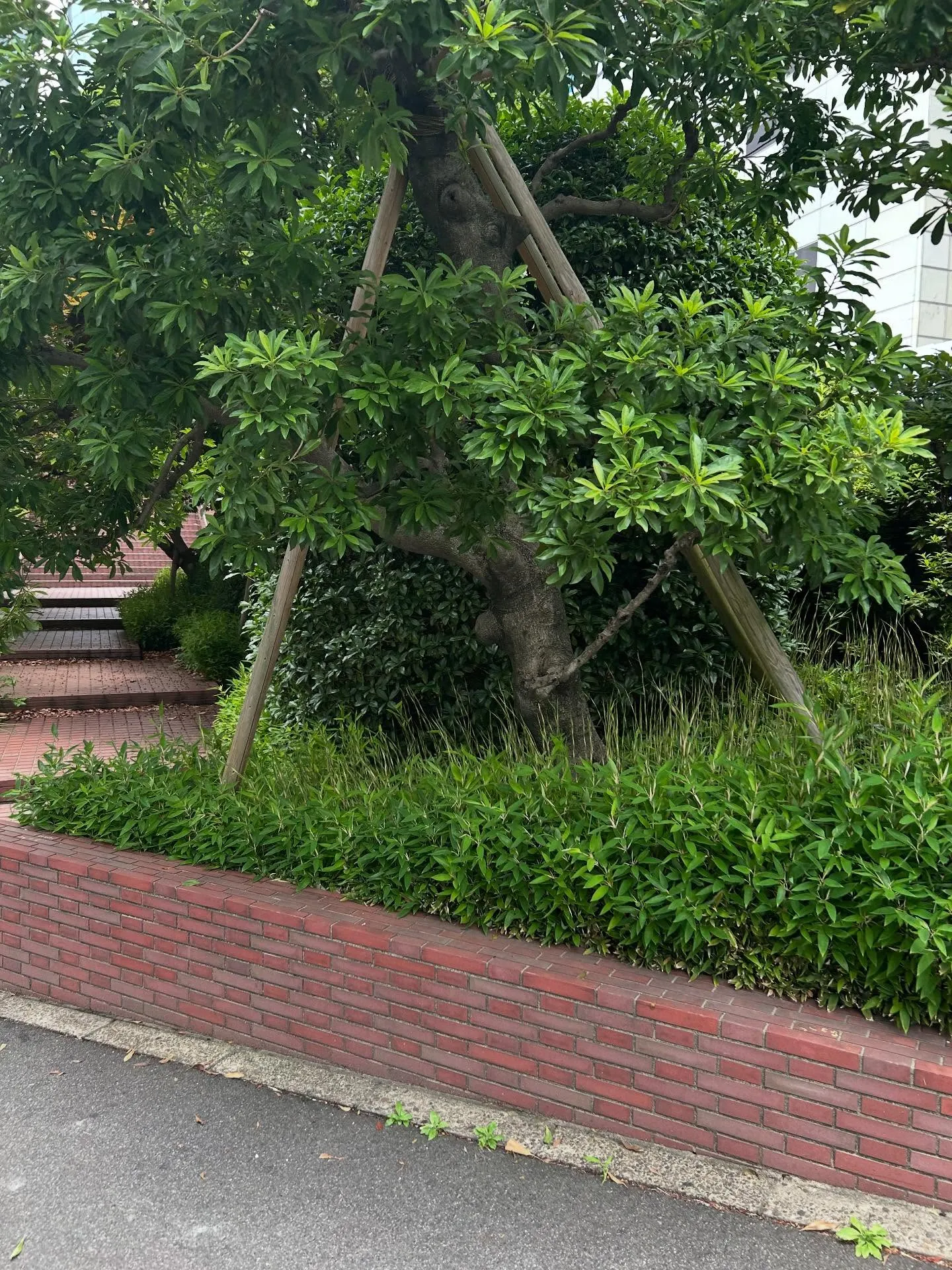 『学芸大学』お子様にピアノを楽しんでもらう方法『ピアノ教室』