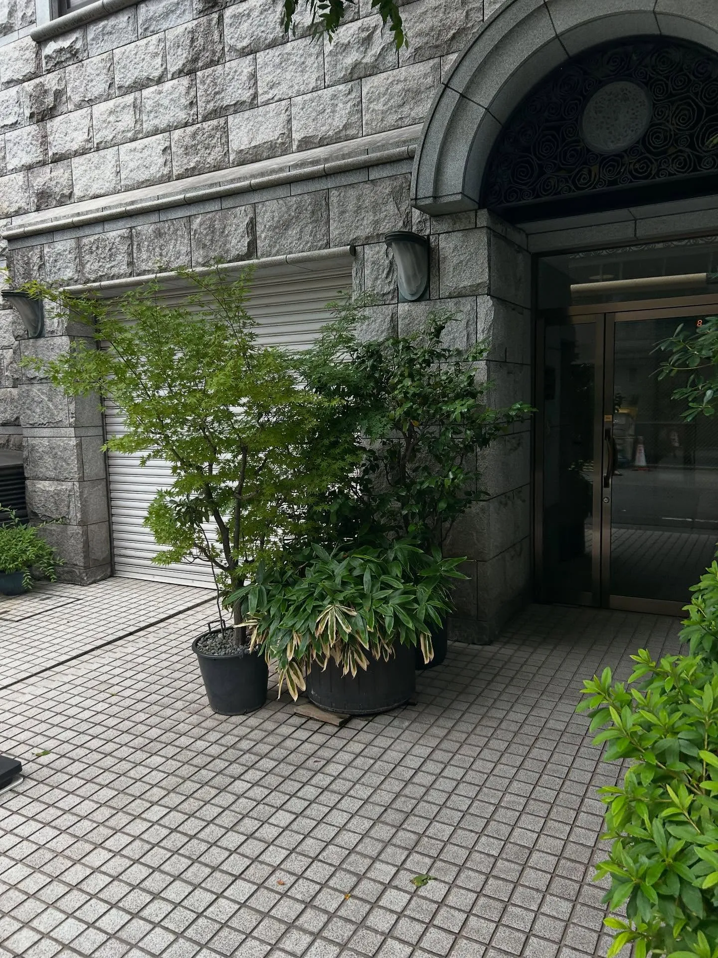 『学芸大学』シェリー・アーツ音楽教室での作曲の楽しみ方『作曲...