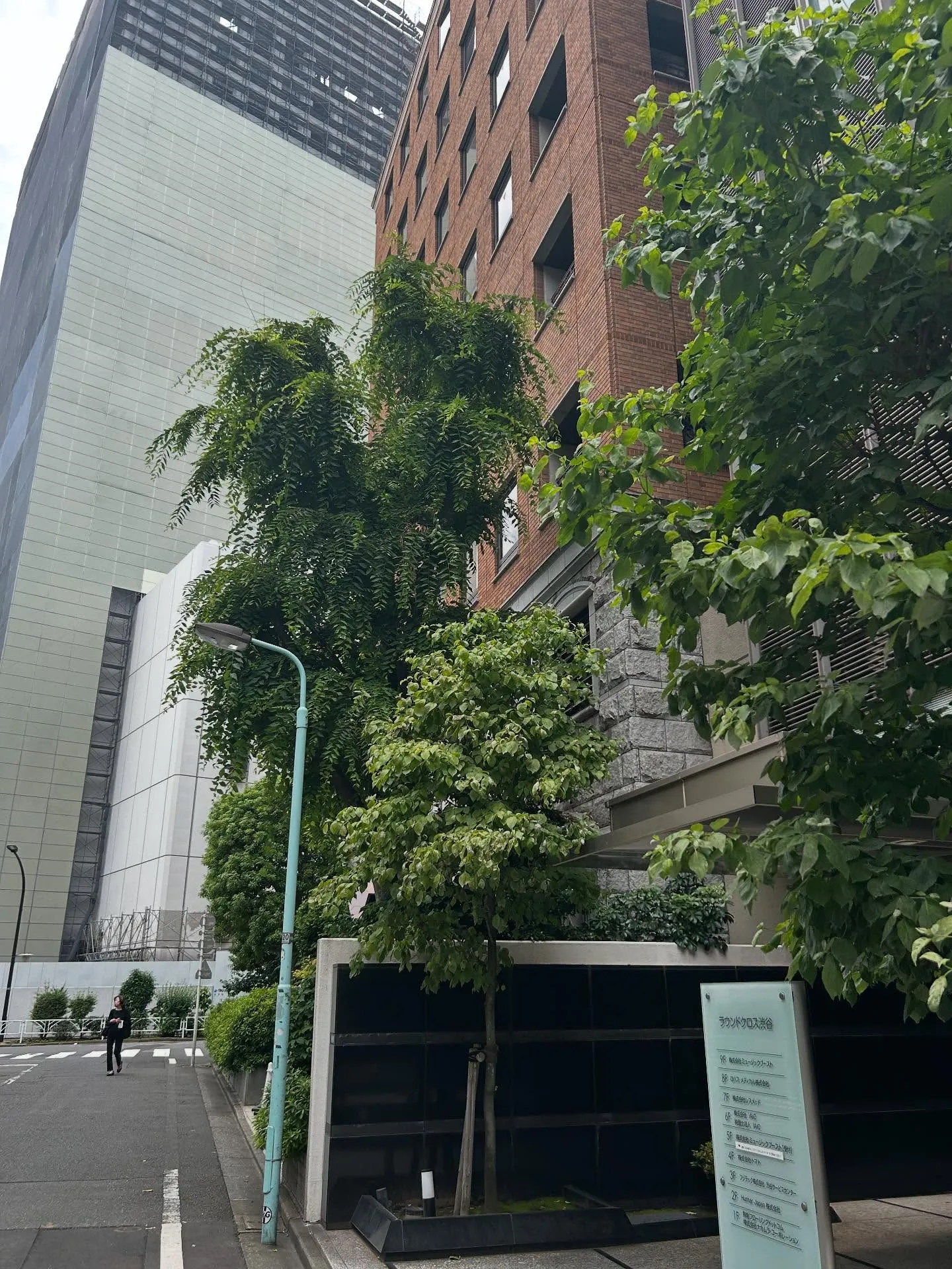 『学芸大学』発表会の有用性について - シェリー・アーツ音楽...