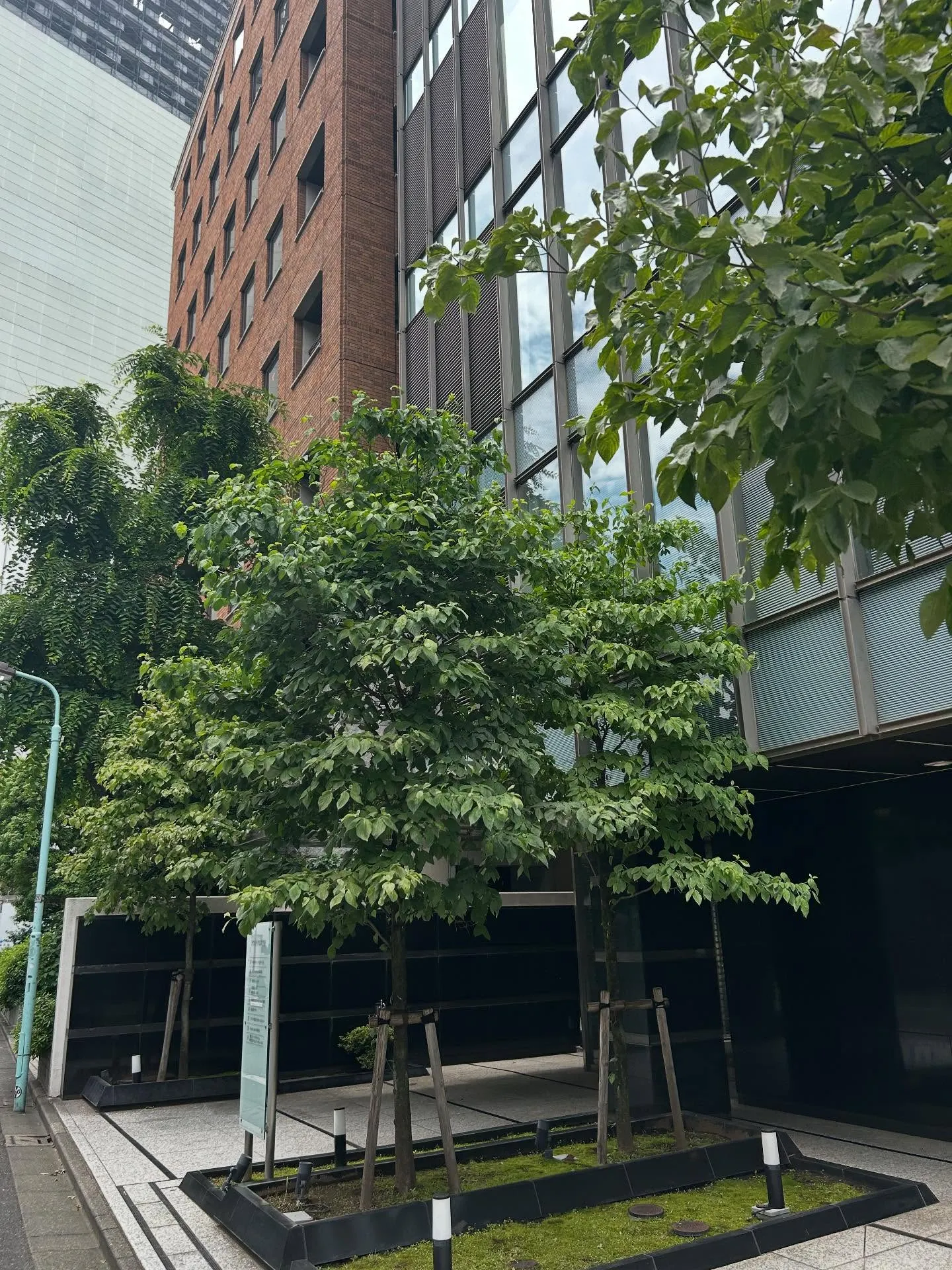 『学芸大学』発表会の有用性について - シェリー・アーツ音楽...