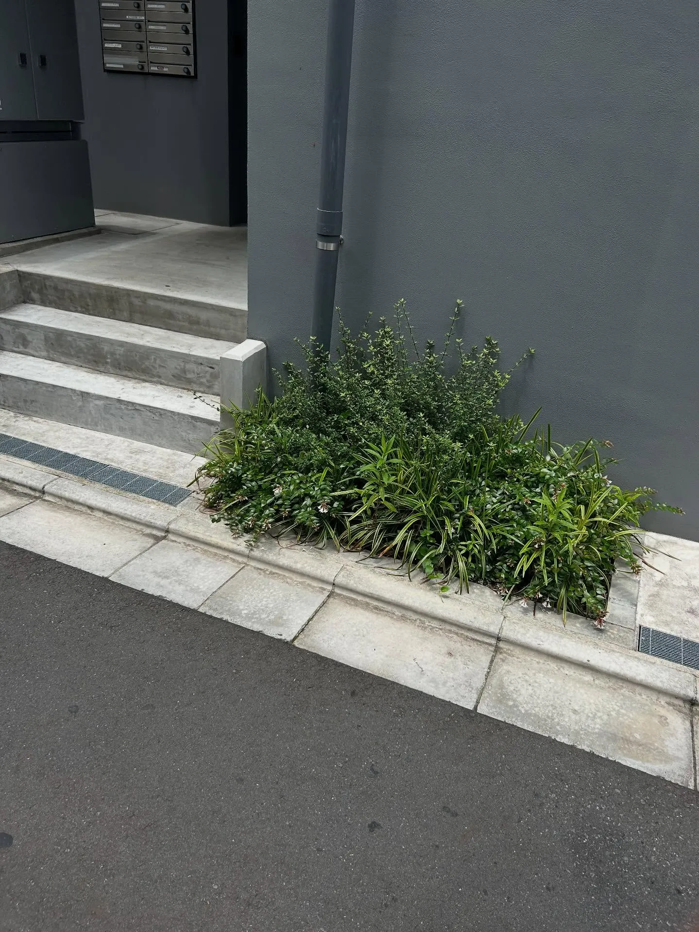 『学芸大学』音楽で自己主張 - シェリー・アーツ音楽教室のブ...