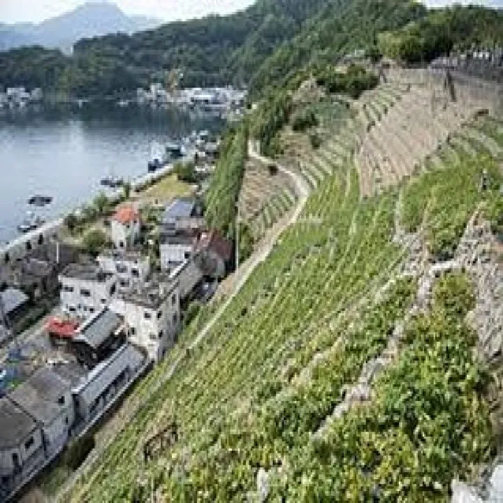 『学芸大学』ピアノの音を言葉のように操る – シェリー・アー...