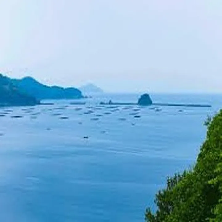 『学芸大学』歌うことによる健康のメリット『ボーカル教室』