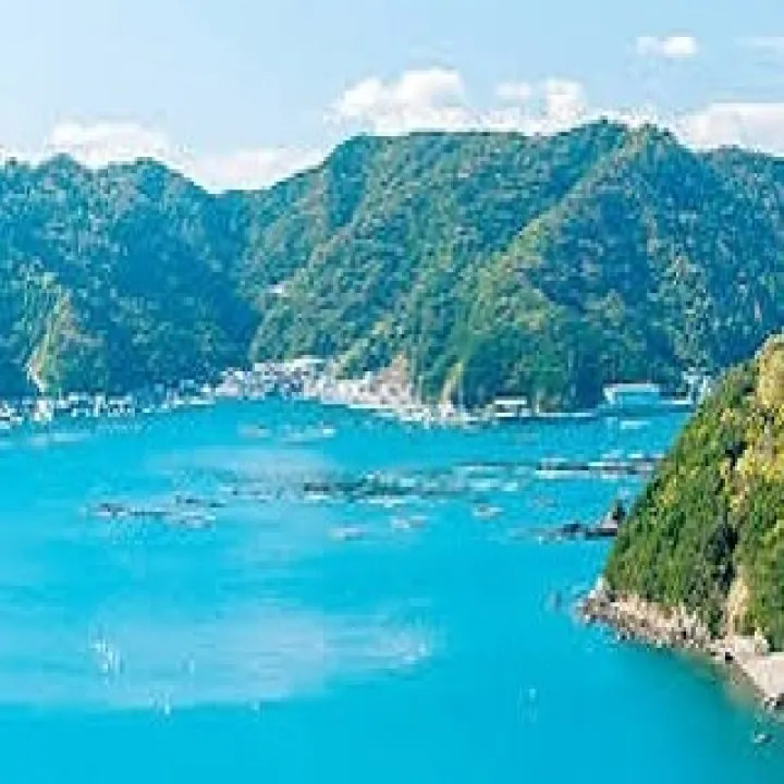 『学芸大学』シェリー・アーツ音楽教室のピアノテクニック向上ガ...