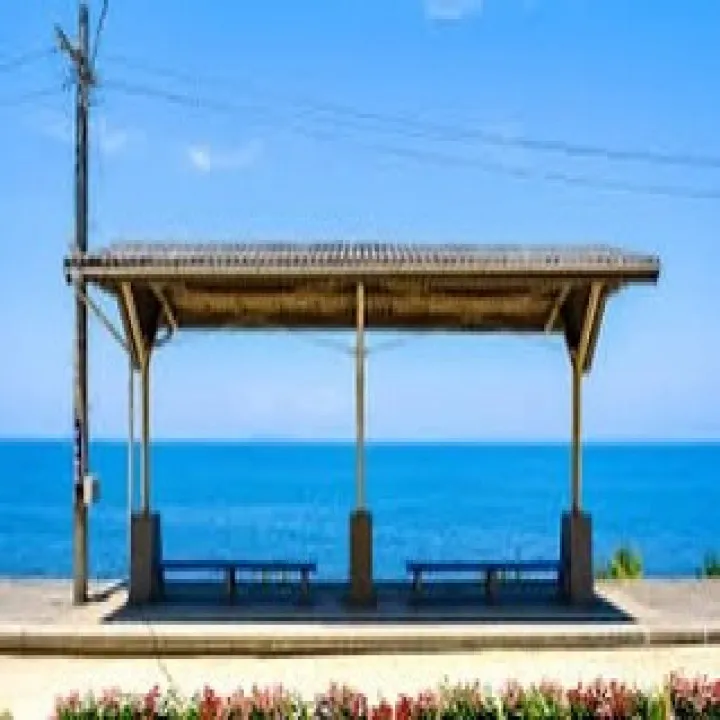 『学芸大学』シェリー・アーツ音楽教室のピアノテクニック向上ガ...