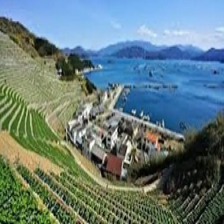 『学芸大学』奏でる音楽は、顔に現れる『ピアノ教室』