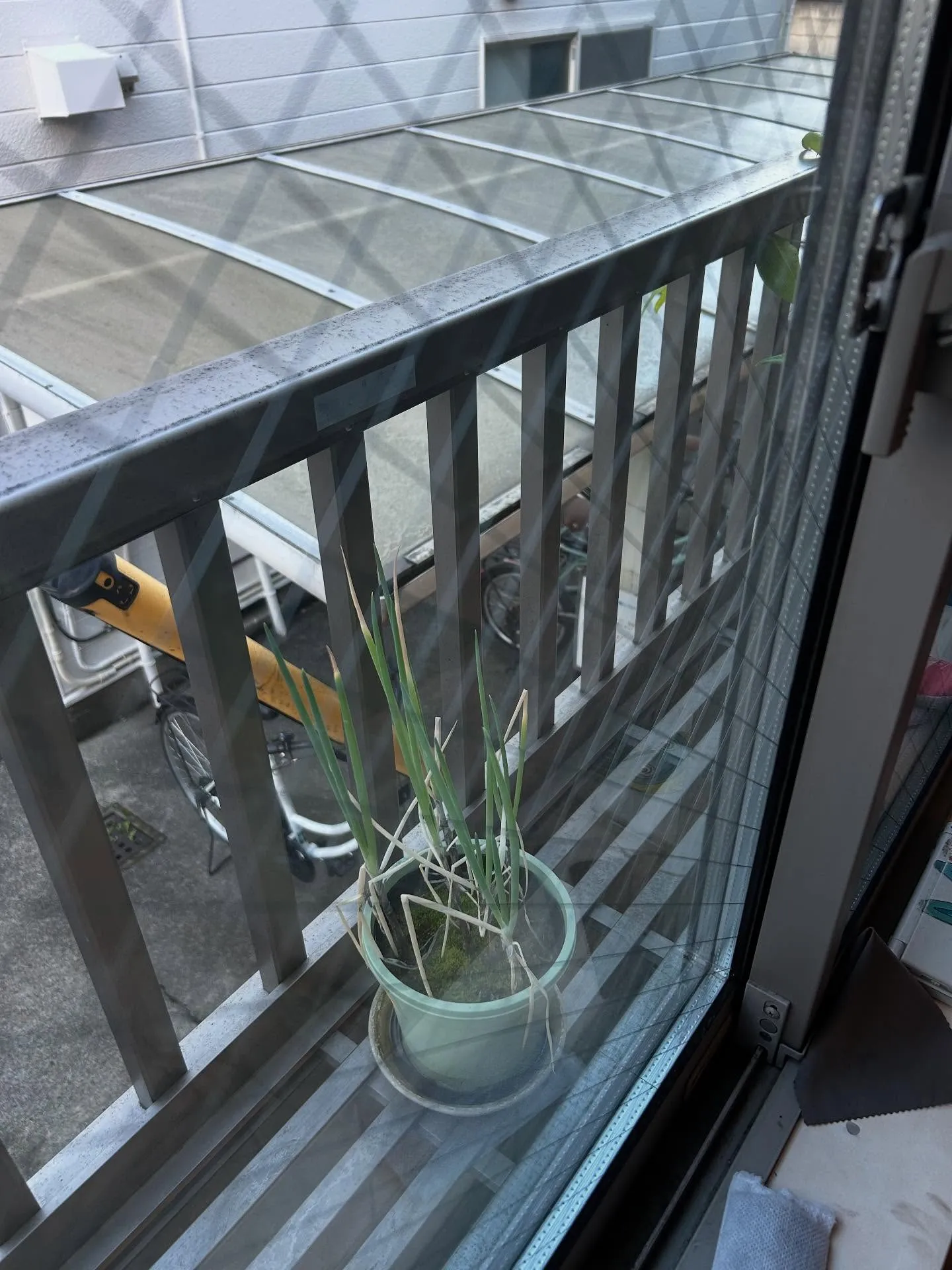 『学芸大学』アンサンブルの楽しみ - シェリー・アーツ音楽教...