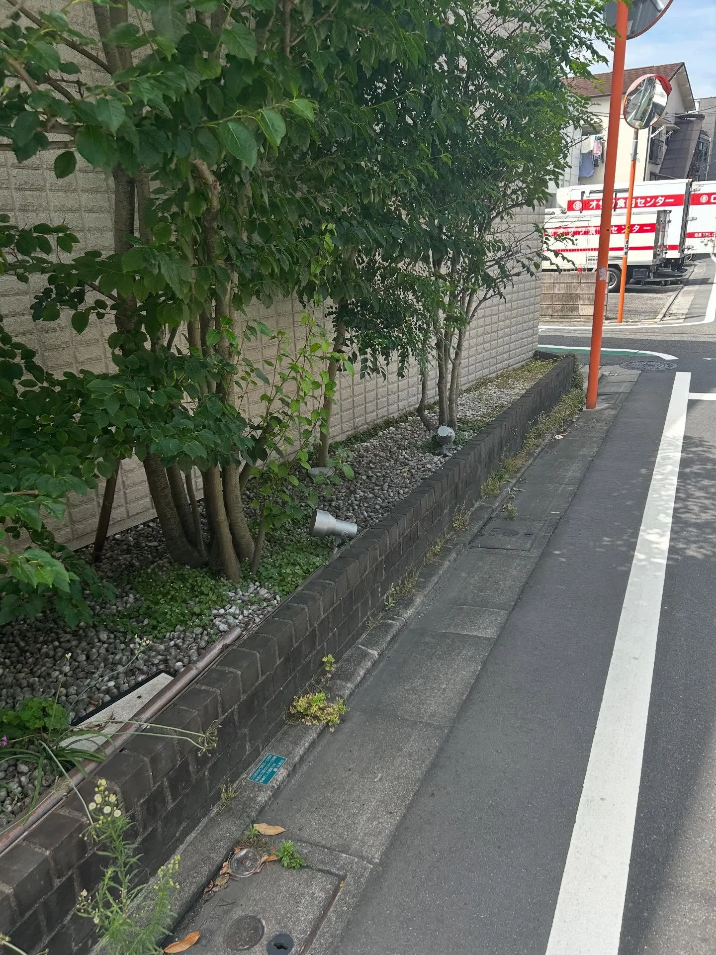 『ピアノ教室』シェリー・アーツ音楽教室: 音楽についての全て...