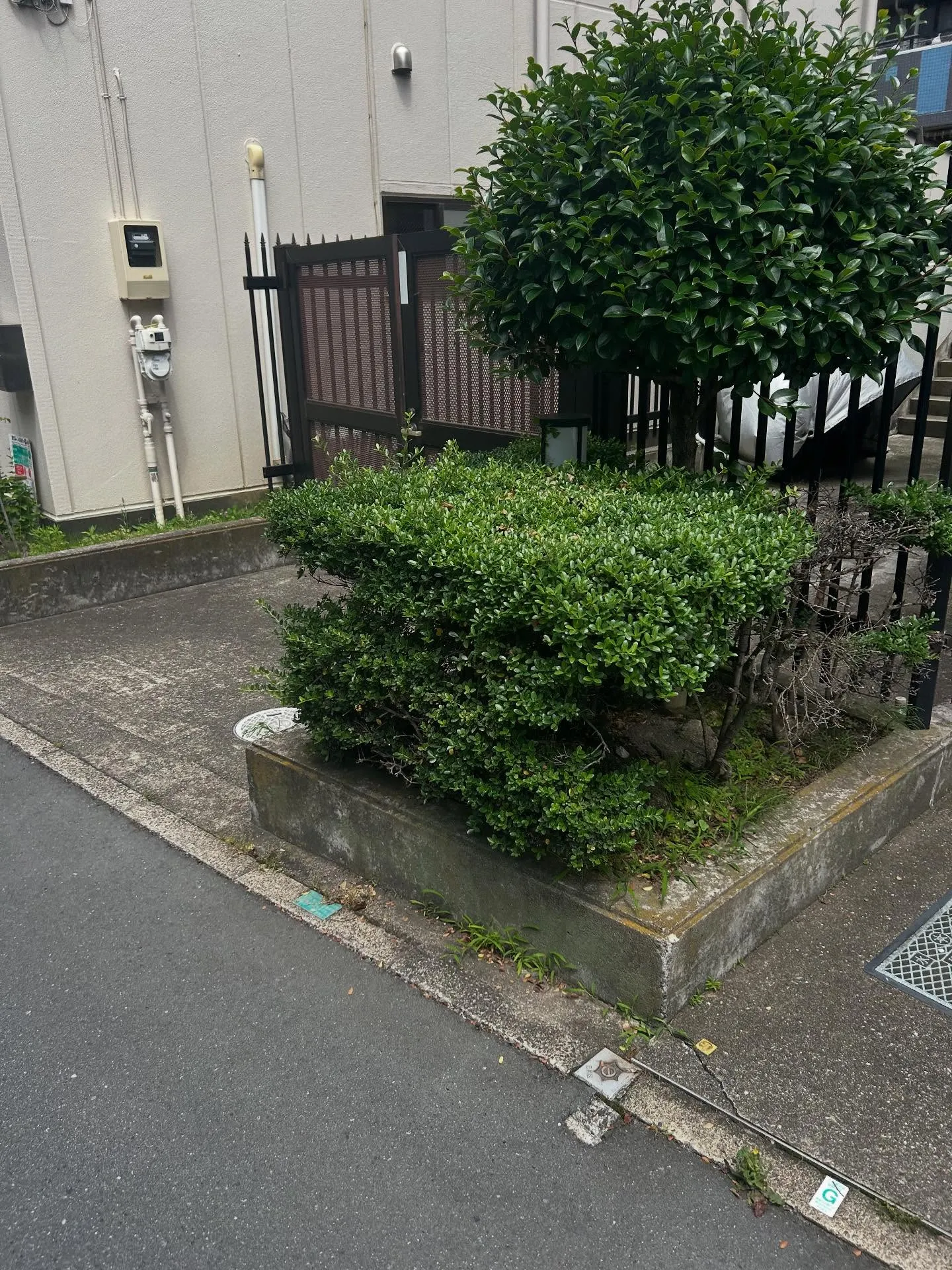 『ピアノ教室』音楽に関する相談はシェリー・アーツ音楽教室にお...